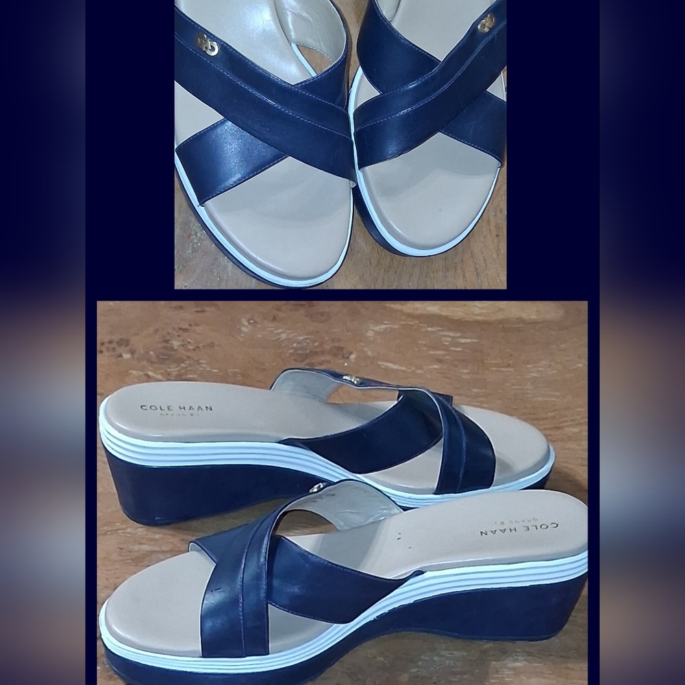 Cole Haan Women's Dark Blue Platform Sandals